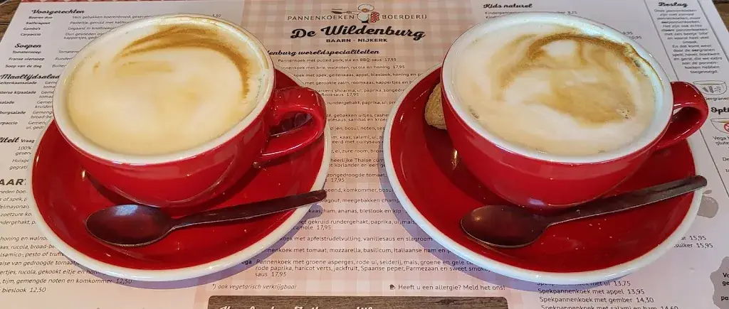 Kees Burger_Pannenkoekenboerderij De Wildenburg Nijkerk_Putten_recensione