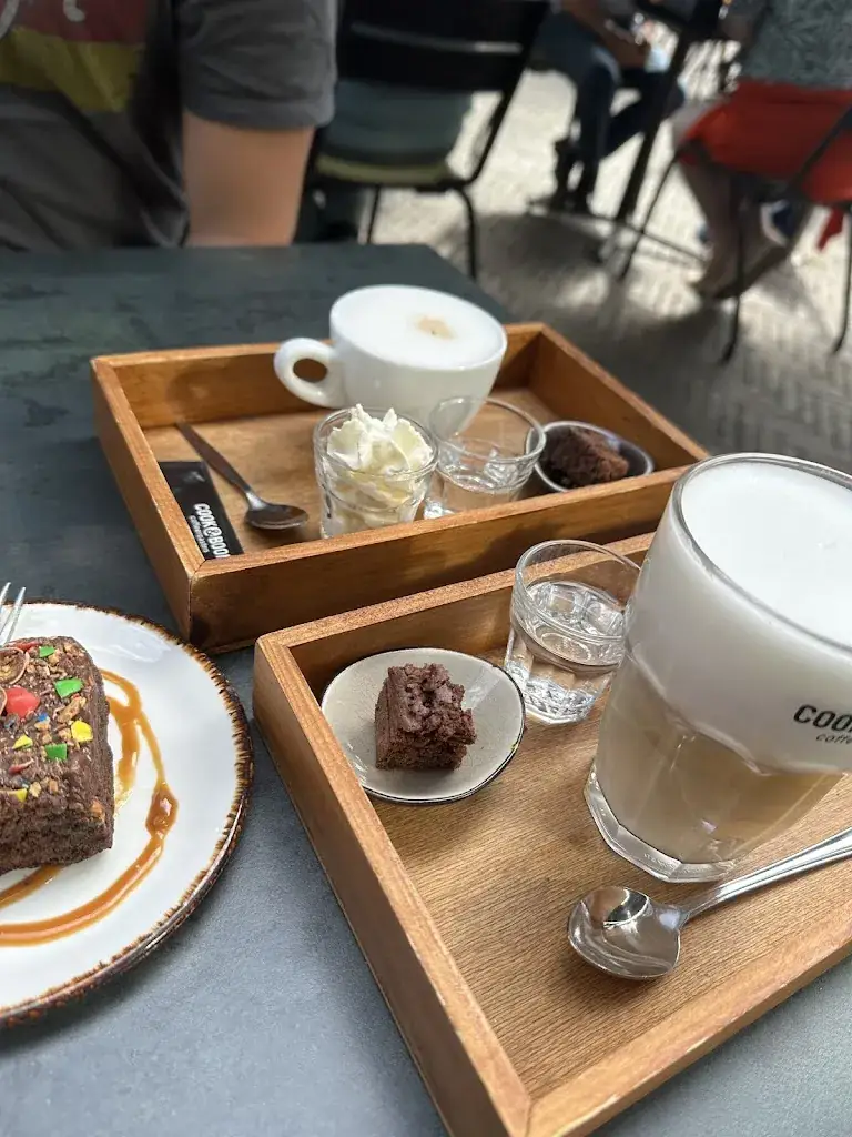 Andreea Bolchis_Brownies & downieS Tiel_Tiel_review