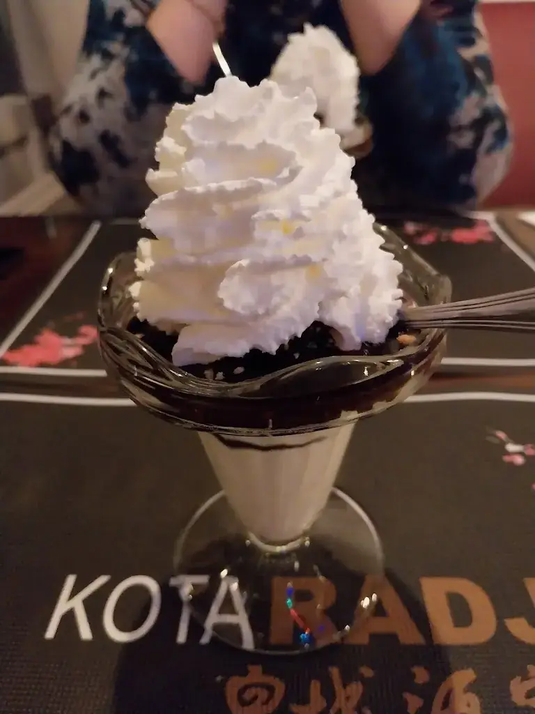 Menu_Kota Radja Chinees-Indisch Restaurant_Coevorden_image_7