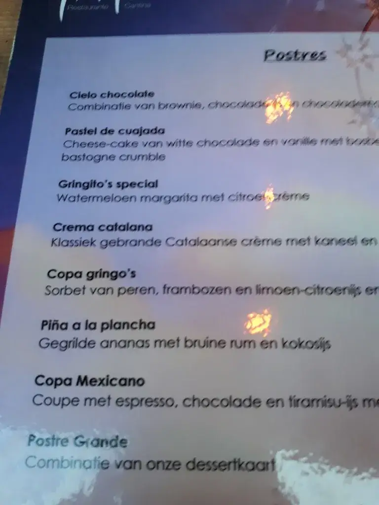 Menu_Gringo's Doetinchem_Doetinchem_immagine_1