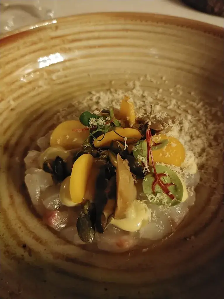 Orchid Set_Orangerie De Pol_Doetinchem_recensione