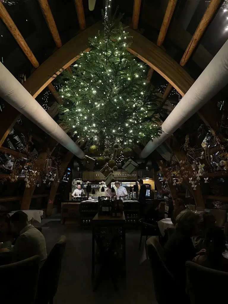 Caelitus Mihi Vires_Orangerie De Pol_Doetinchem_recensione