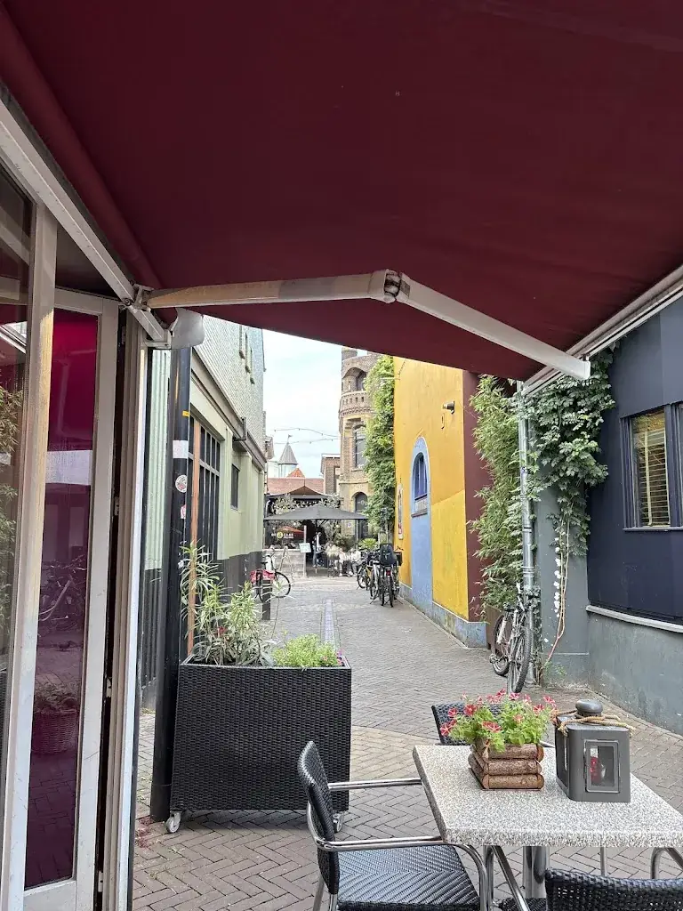 Shaghayegh Abghari_King of India Doetinchem_Doetinchem_review