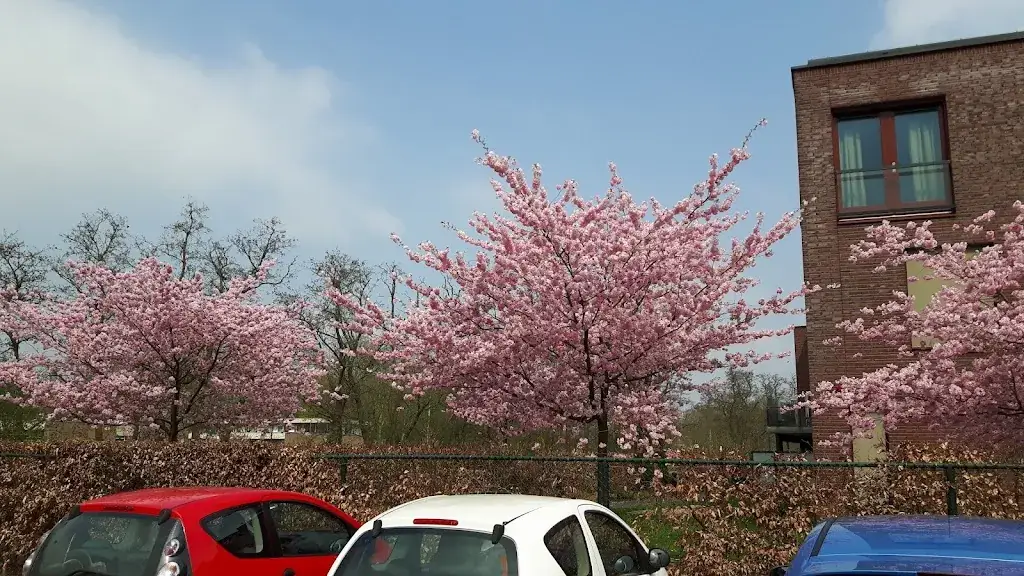 Het Hof van Elden restaurant in Arnhem