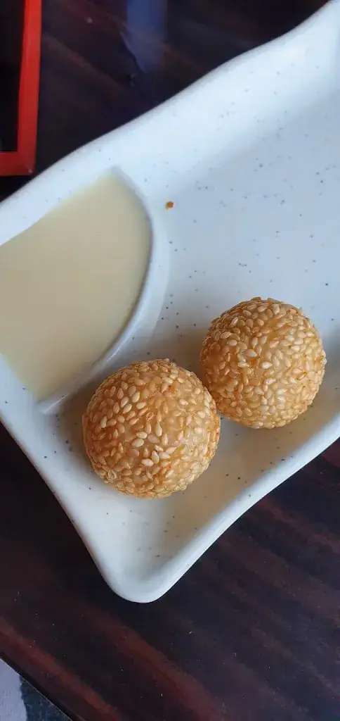 Menu_Youkoso sushi, grill restaurant & Chinese take away_Coevorden_image_8