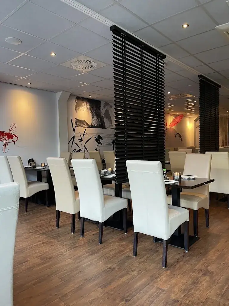 Youkoso sushi, grill restaurant & Chinese take away_Coevorden_slider_image_1