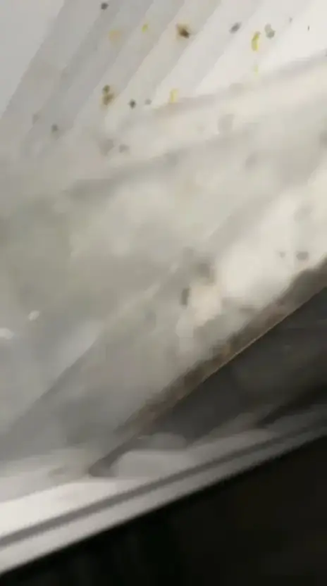 Anoniem Anoniem_Eethuis Eilandplein_Duiven_avis