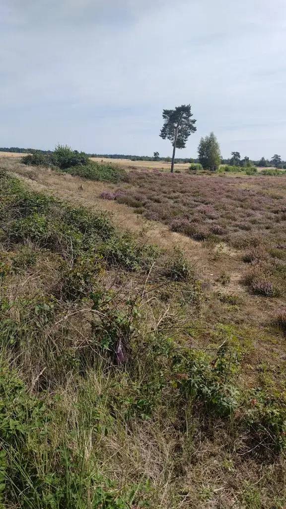 Mowaffaq Tahir_Veluwe Hotel Stakenberg_Elspeet_review