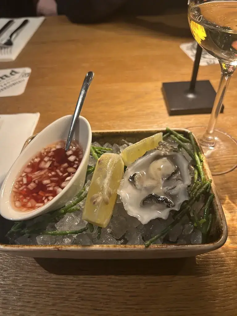 Beatriz Vargas_DRIES en CO_Elst_review