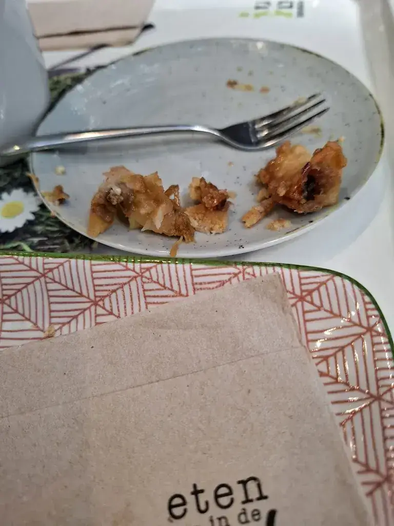 Marjorie Van Wissen_De Boerderij_Elst_review