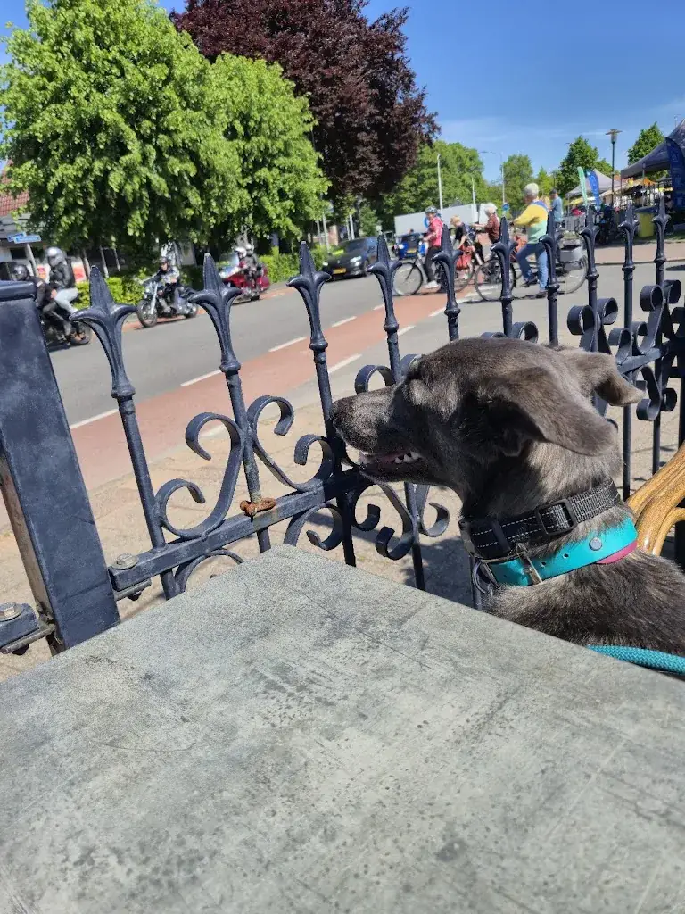 Nikesh Prajapati_De DorpsKamer eten & drinken_Ermelo_recensione