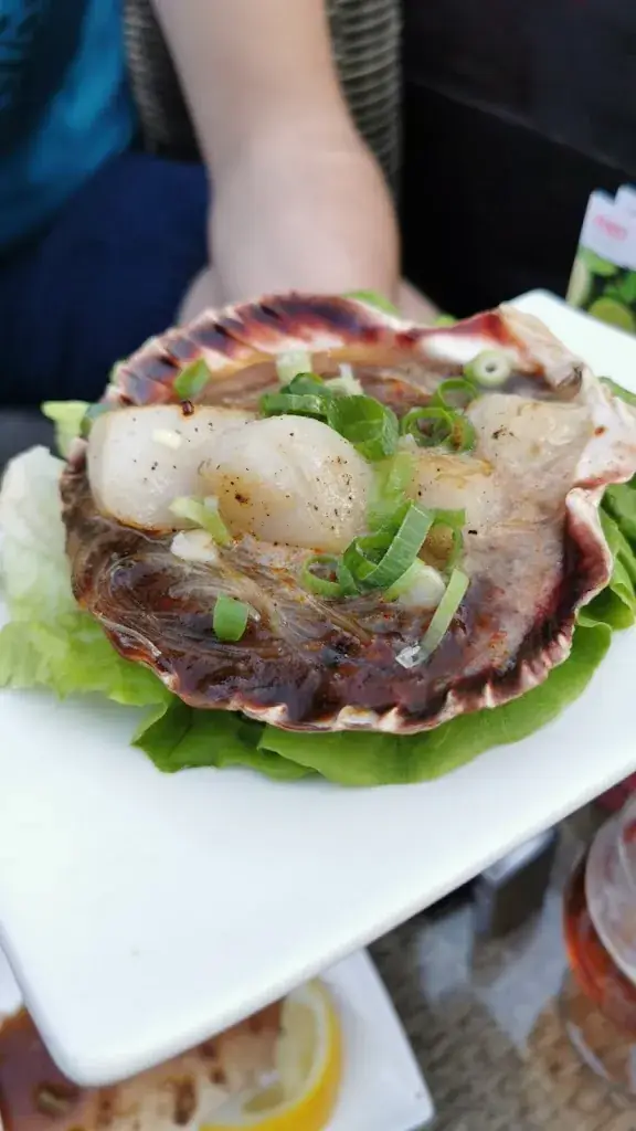 ioana margineanu_Japas Ermelo_Ermelo_reseña