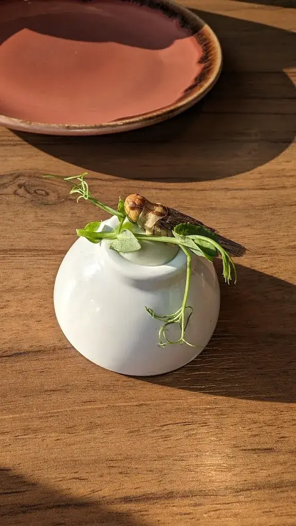 Menu_Strøming - Etten Leur - Stroming_Etten-Leur_image_4