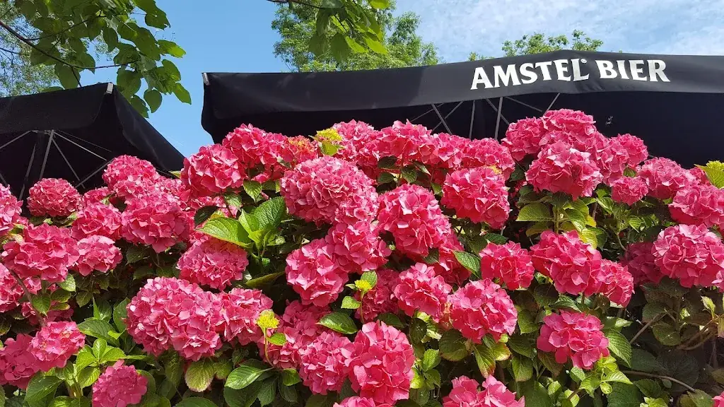 Echica_Geldermalsen_slider_image_3