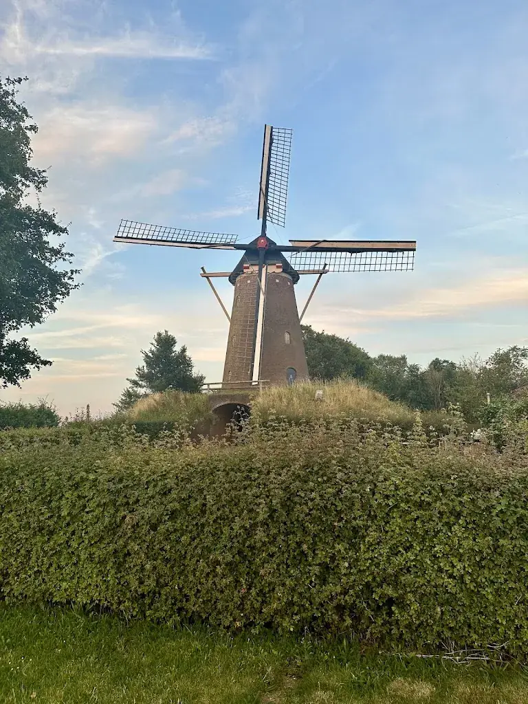 Susan Kelso_Van Hal_Voorst_avis