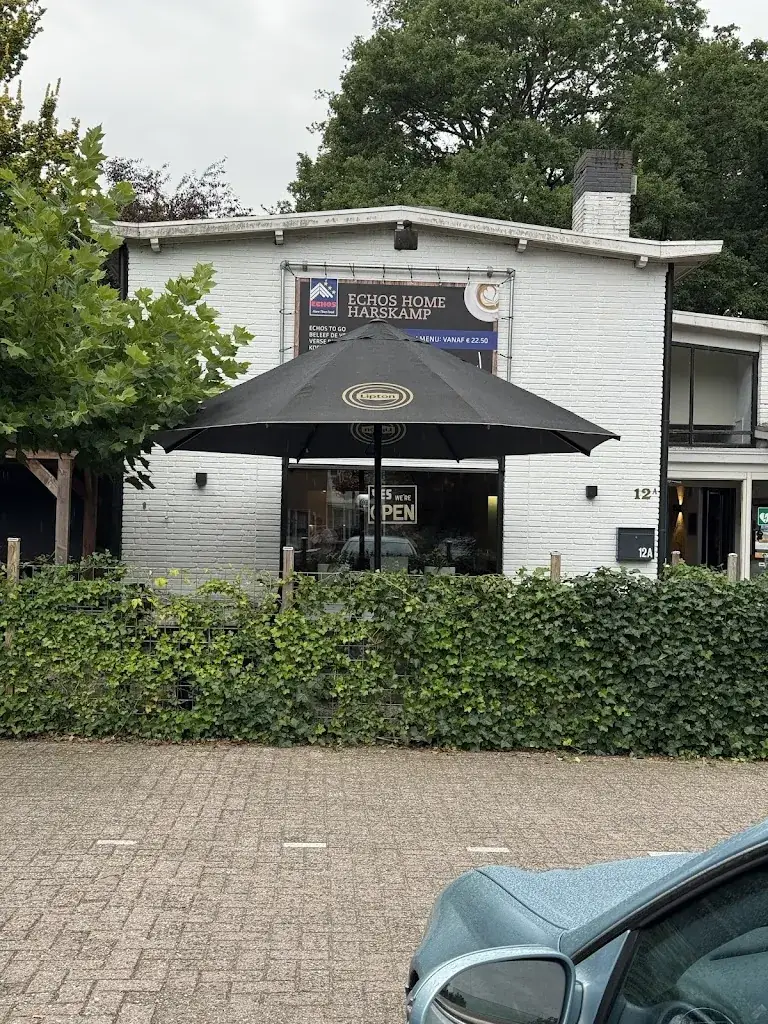 Babs Strijkert_Echos-Home Harskamp_Harskamp_recensione