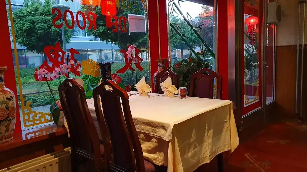 Tomasz Szuprycinski_Chinees-Indisch Restaurant De Roos_Nijmegen_recensione