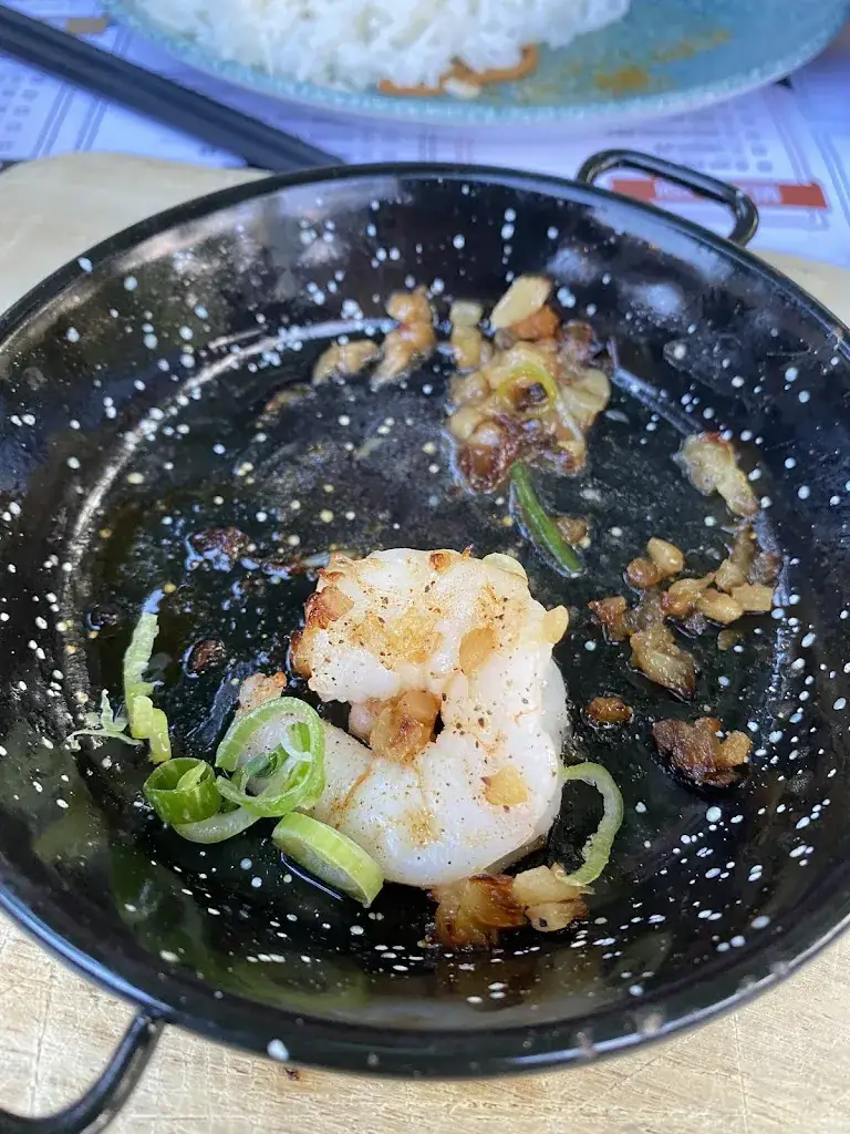 Mitra Gilasgar_Mister Panda Goffertboerderij_Nijmegen_avis