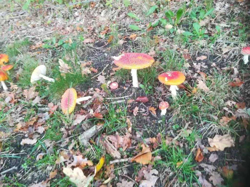 Brasserie De Konijnenberg_Hattem_slider_image_2