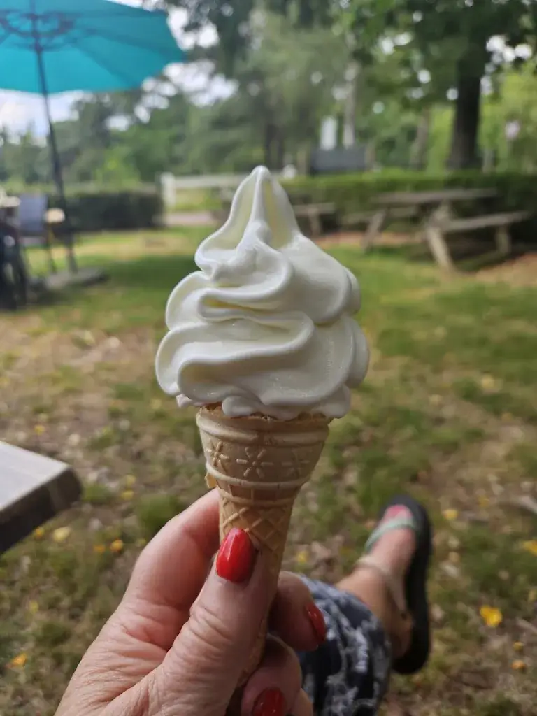 Slovenka Ristic_Uitspanning de schaapskooi_Heerde_review