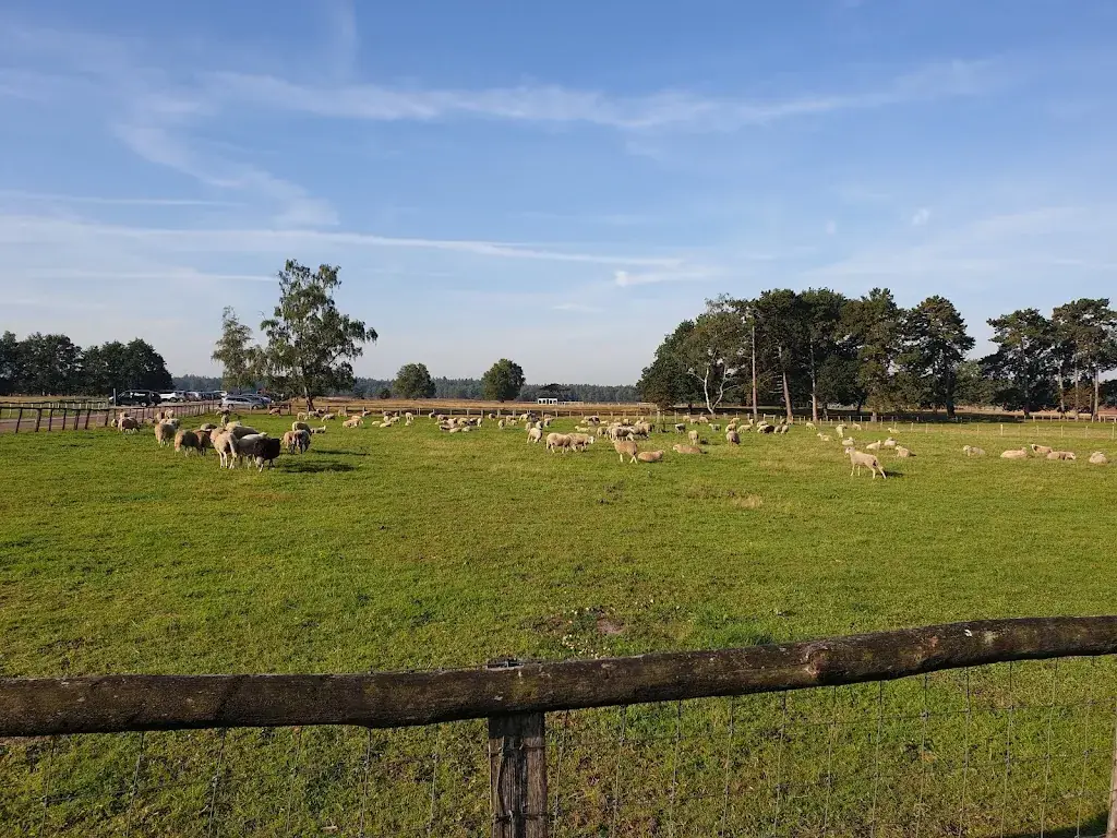 Uitspanning de schaapskooi_Heerde_slider_image_3