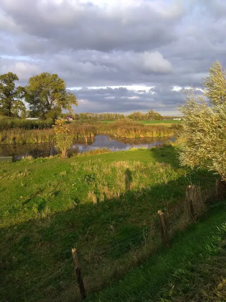 Cristina Genoni_Brasserie De Buurman_Poederoijen_Bewertung