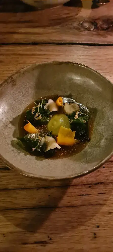 Silvia Cattaneo_Flores_Nijmegen_review