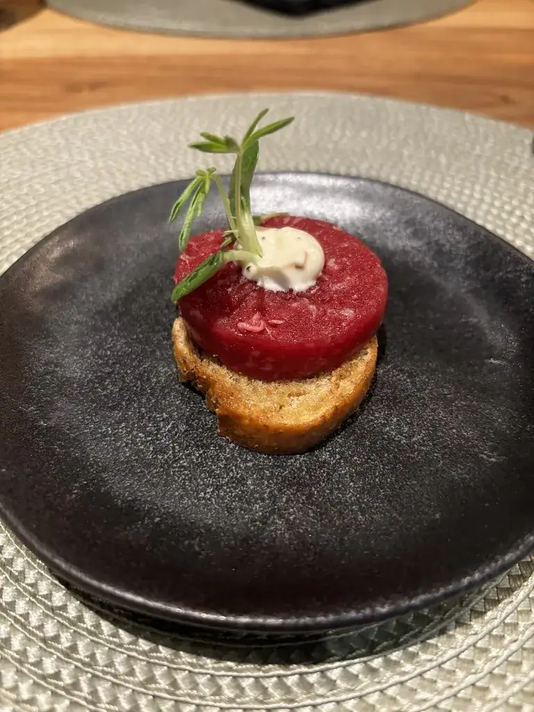 Hanneke Wieberdink_Het Wapen van Beckum_Hengelo_review