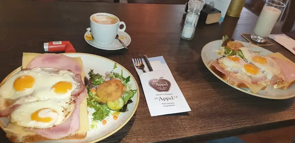 Edwin Hobbelink_De Appel_Hengelo_review