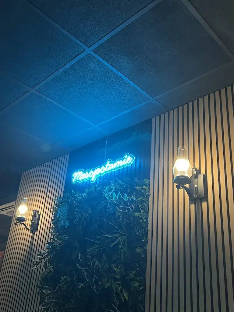 Lina Maria Arenas P._Mesopotamië Restaurant Arnhem_Arnhem_review