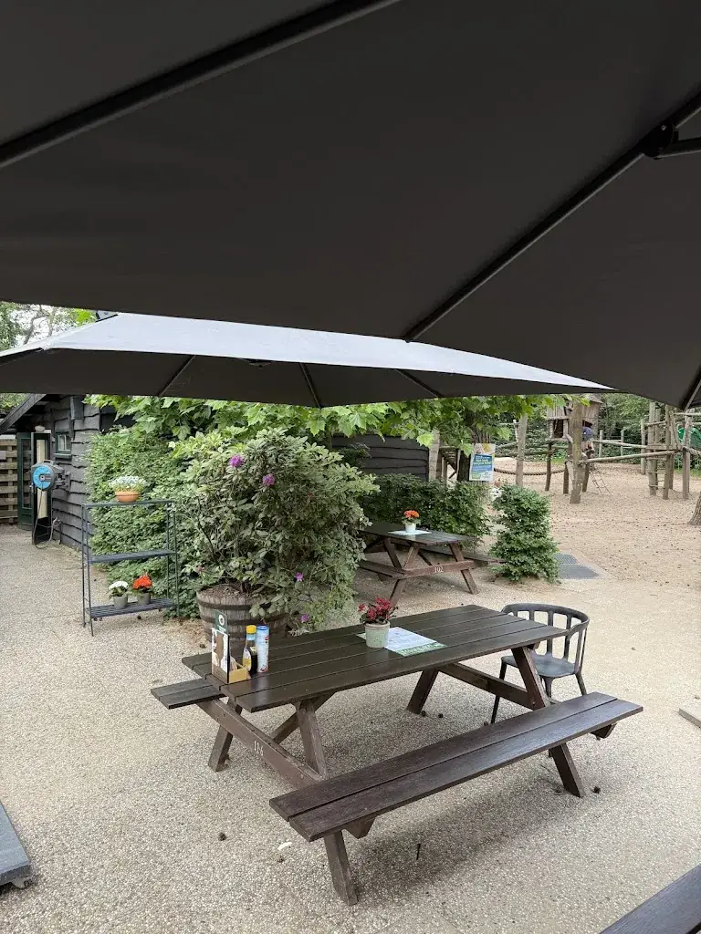 Julia Grigorjeva Jaunzeme_Het Uilenbos_Lunteren_review