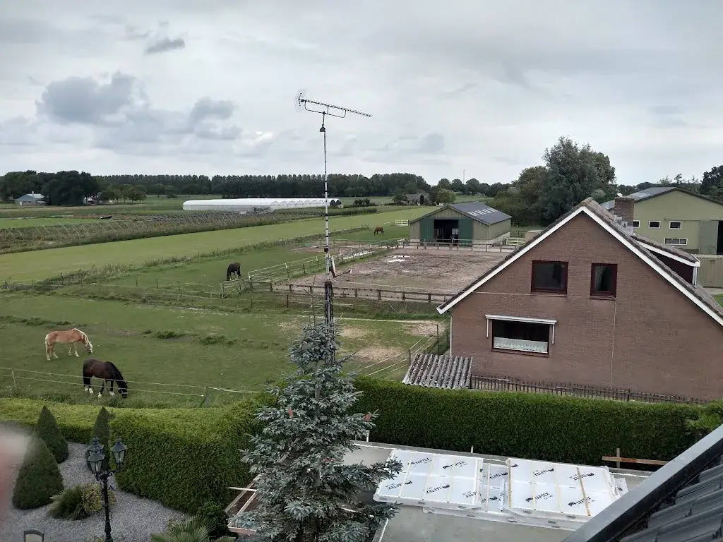 Radina Petrova_De Maasstroom_Nederhemert_review