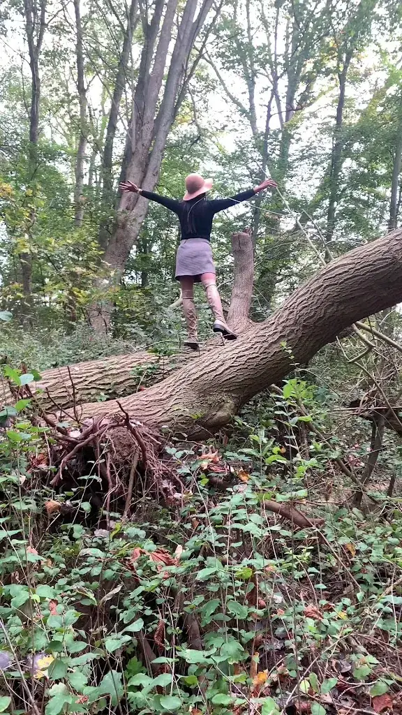 Speeltuin Nederhemert_Nederhemert_slider_image_2