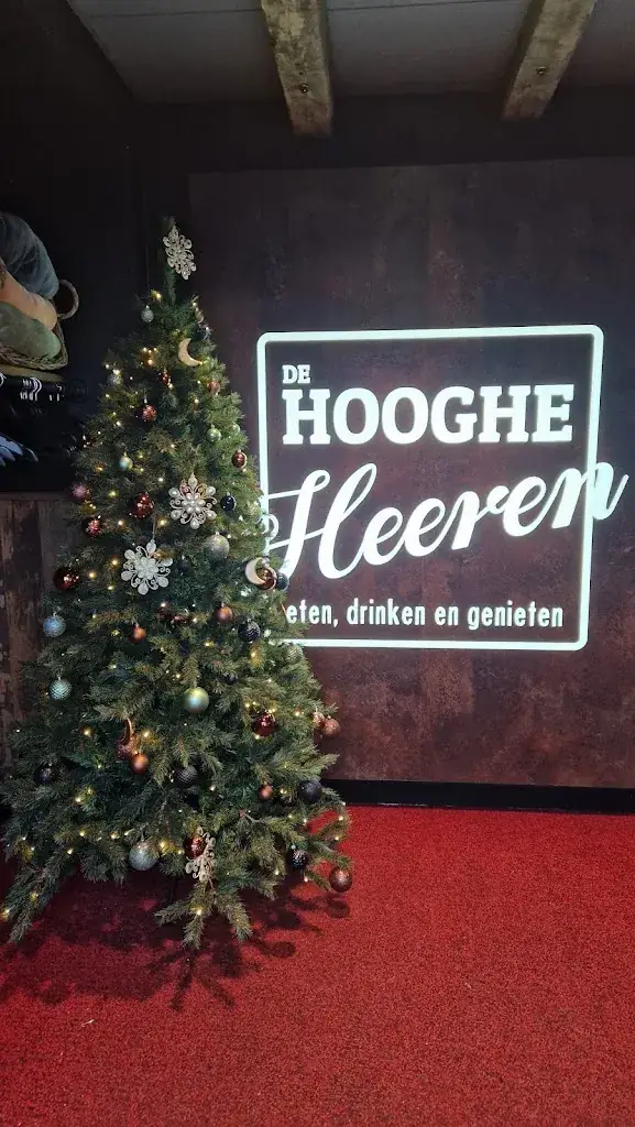 Anthony Van Rensburg_De Hooghe Heeren_Hoogwoud_reseña