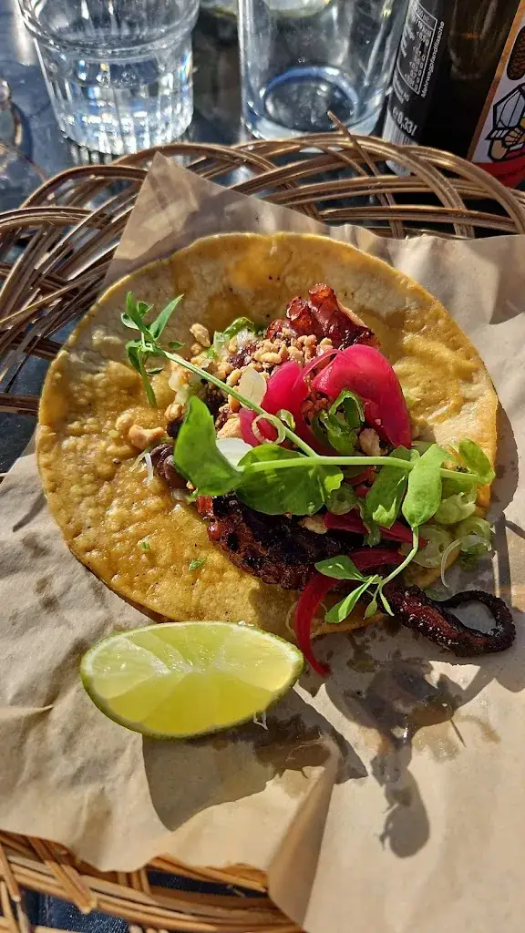 Stefano Pierucci_Bacalar_Amsterdam_review