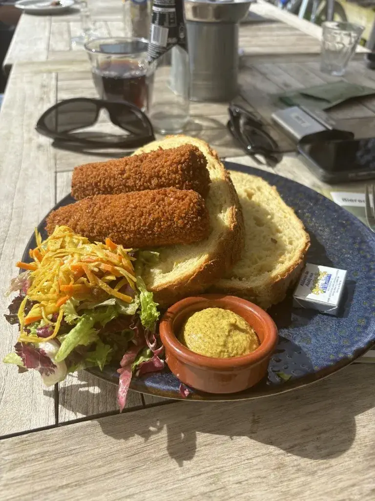 Marzieh Hassanshahi Varposhti_Oortjeshekken_Ooij_review