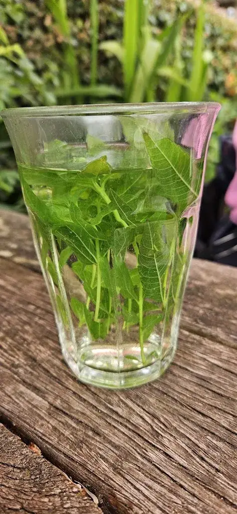 Menu_Roosje van Ooy_Ooij_image_1