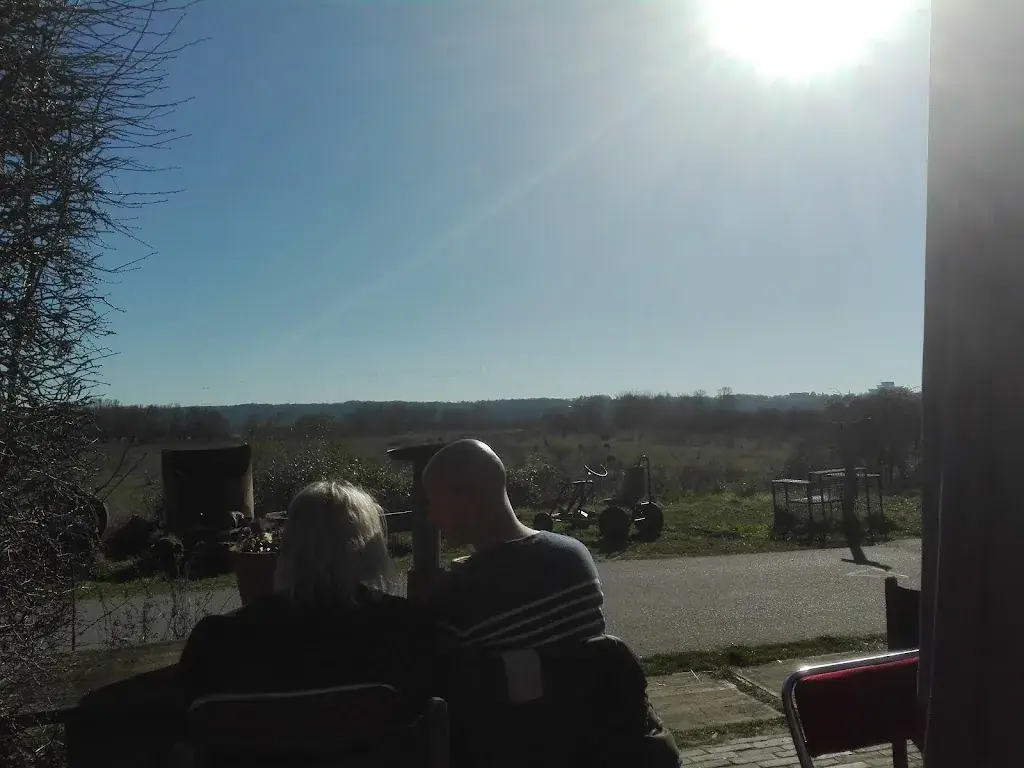 Wales GoudensvdnHandel_Roosje van Ooy_Ooij_review