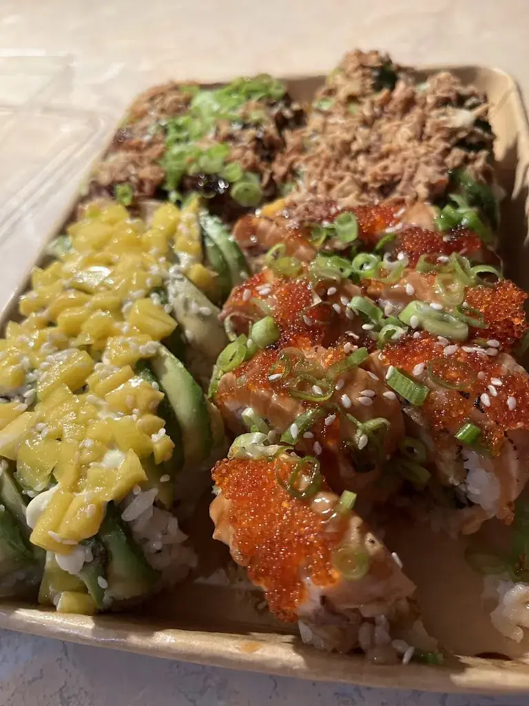 Daniëlle Dijkstra_VeraSushi_Dwingeloo_reseña