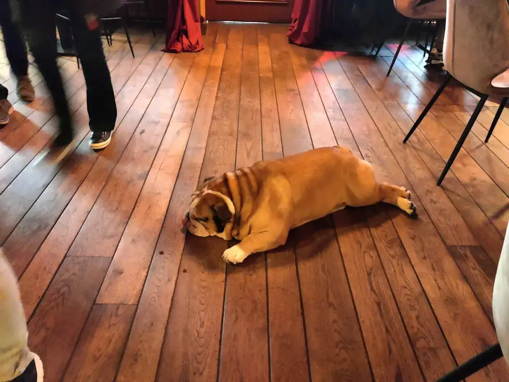 Daria tS_The Three Star Gastropub_Otterlo_review