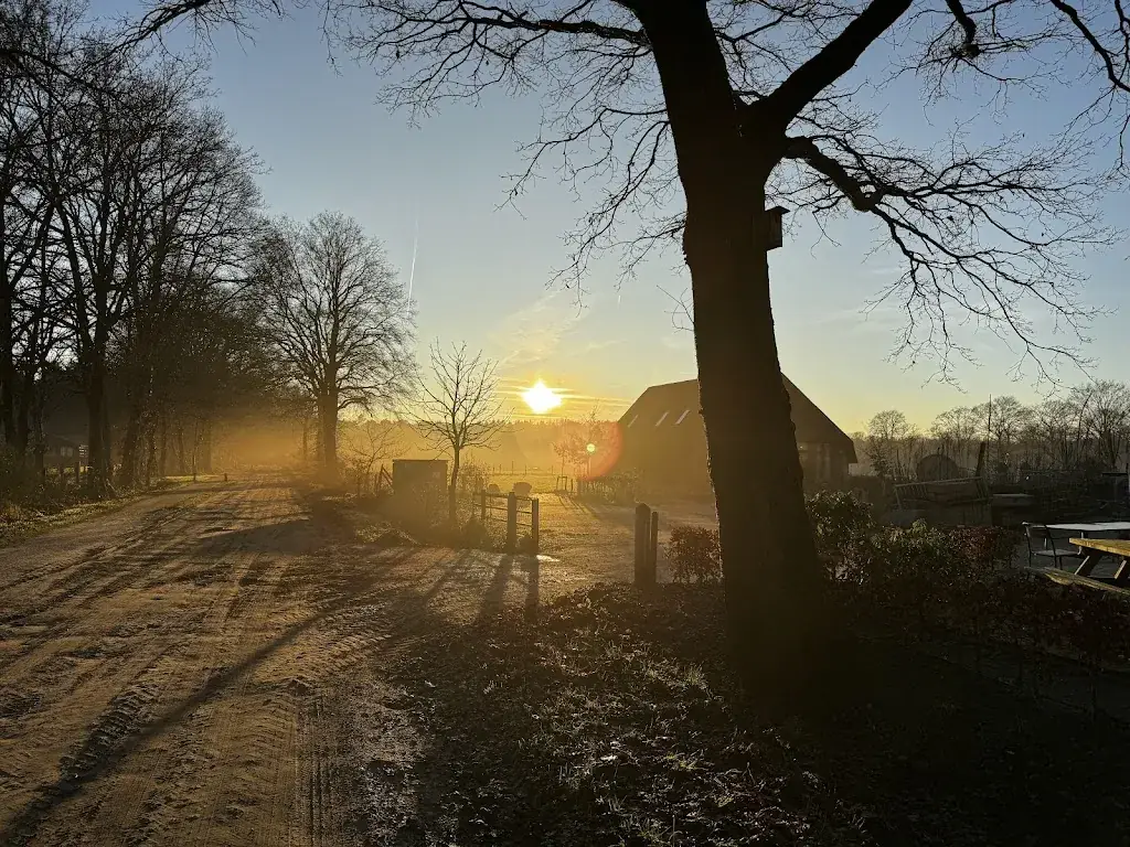 Martine Aronson_KOE_Otterlo_recensione