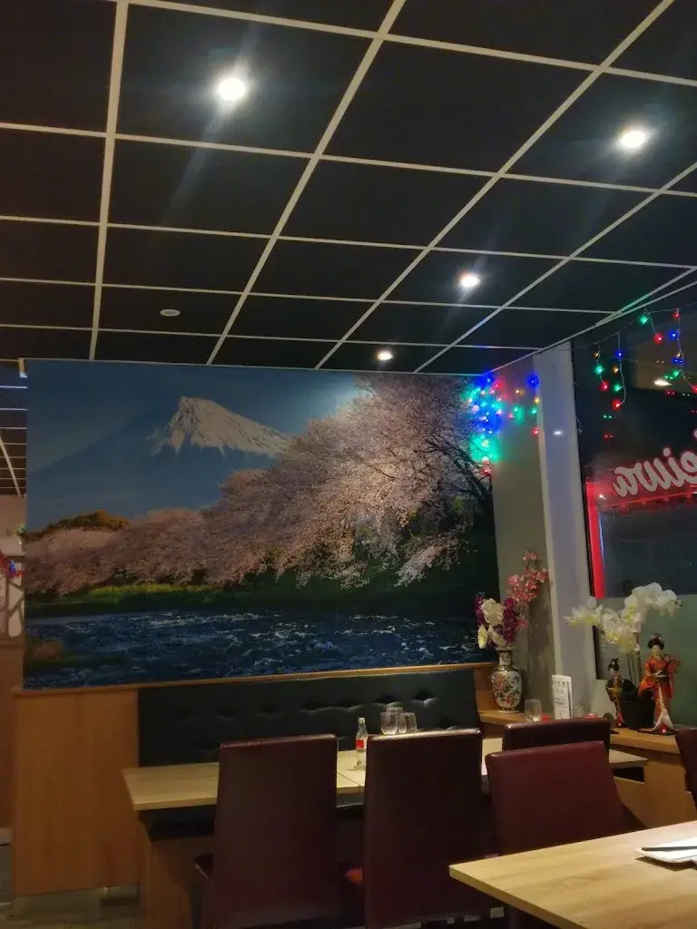 Casia Kalo_Heiwa sushi&grill_Renkum_review