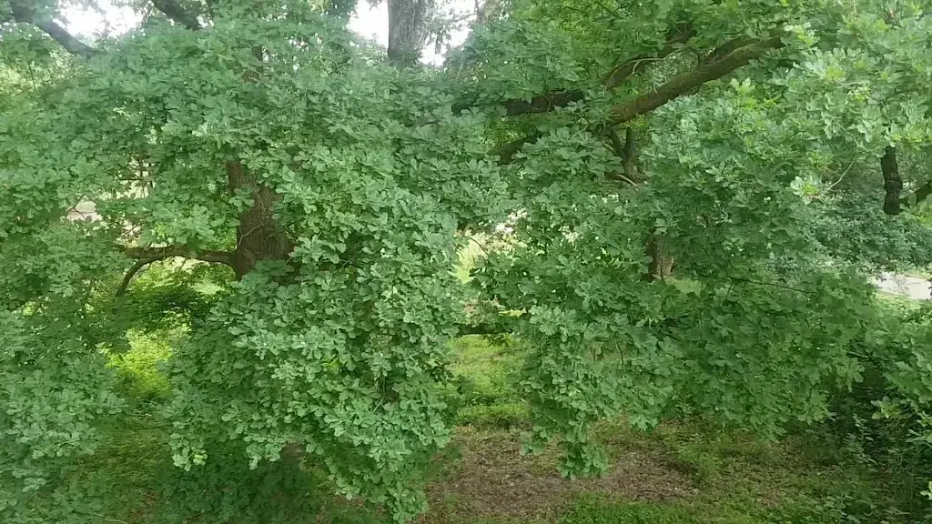 Pavilion De Posbank_Rheden_slider_image_2