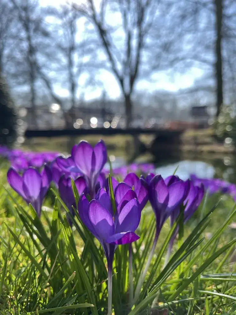 Craig Chiffers_Kasteel De Vanenburg_Putten_review