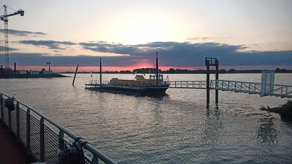 Alien Lynx (Egoist.Odessa)_Bistro Drijfveer_Druten_review