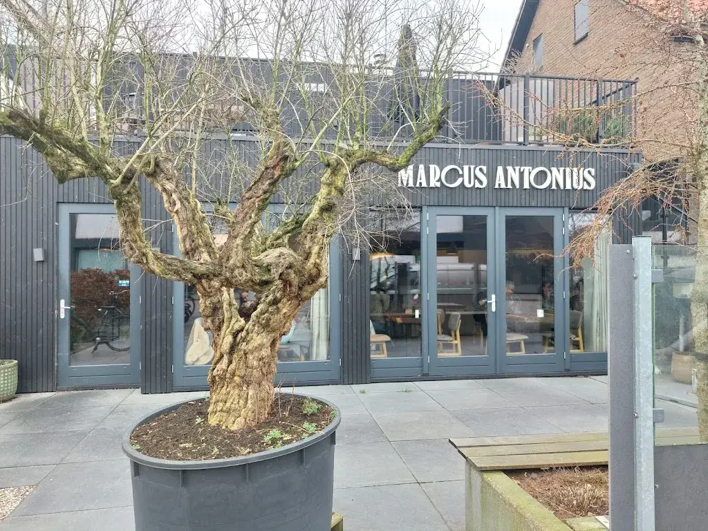 André Vink_Marcus Antonius Eten en Drinken_Beneden-Leeuwen_review