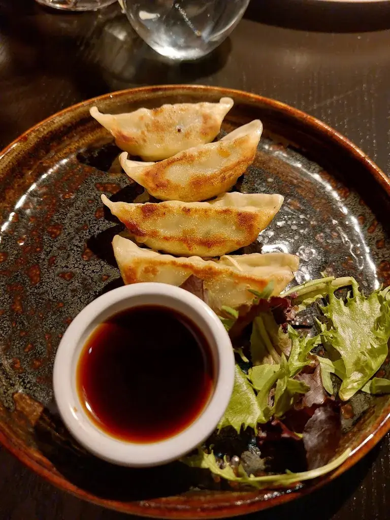 YASH KUMAR_Fusion Restaurant Cublay_Emmen_review