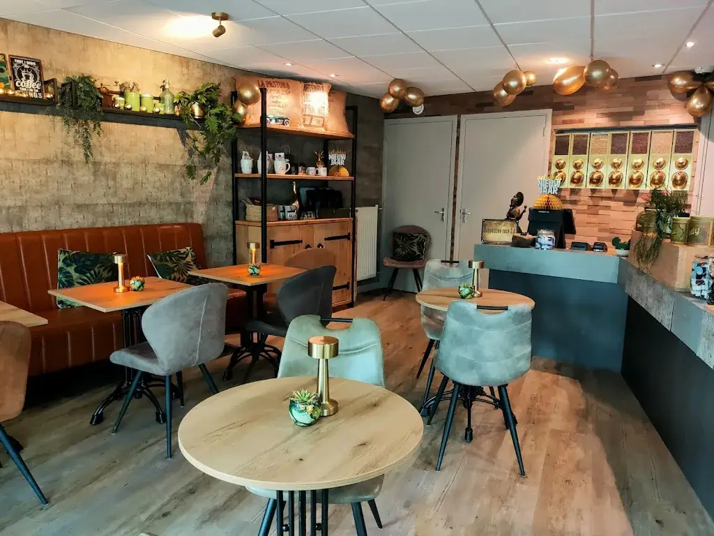 Dariusz G._Cappuccino Enzo 2.0_Druten_review