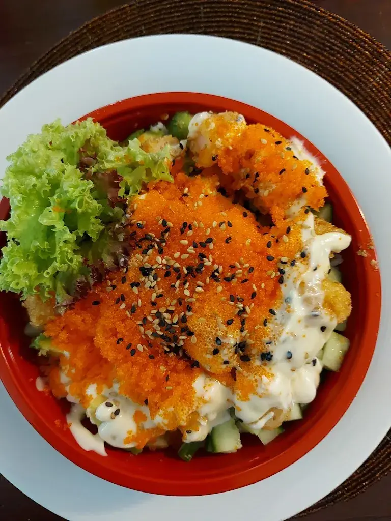 Menu_Mr. Sushi Druten_Druten_immagine_2