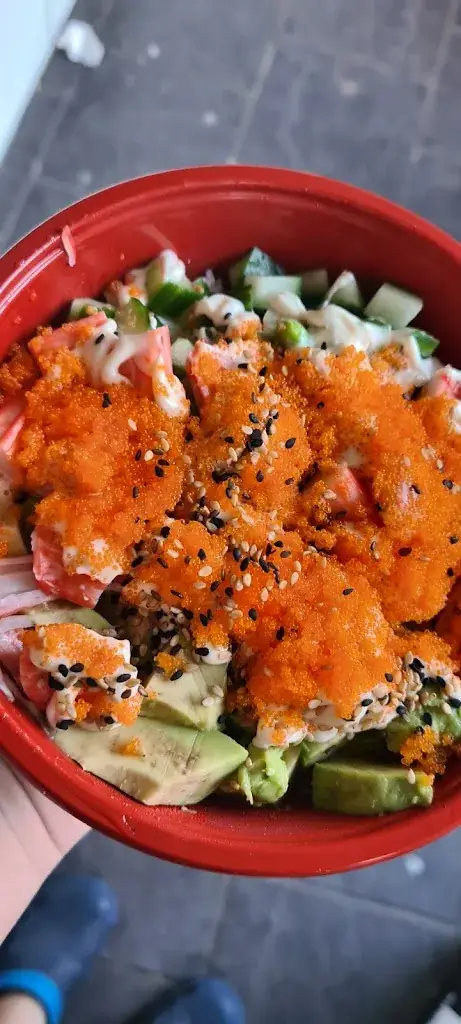 Menu_Mr. Sushi Druten_Druten_immagine_3